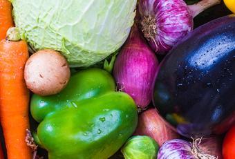 nutrition thumbnail