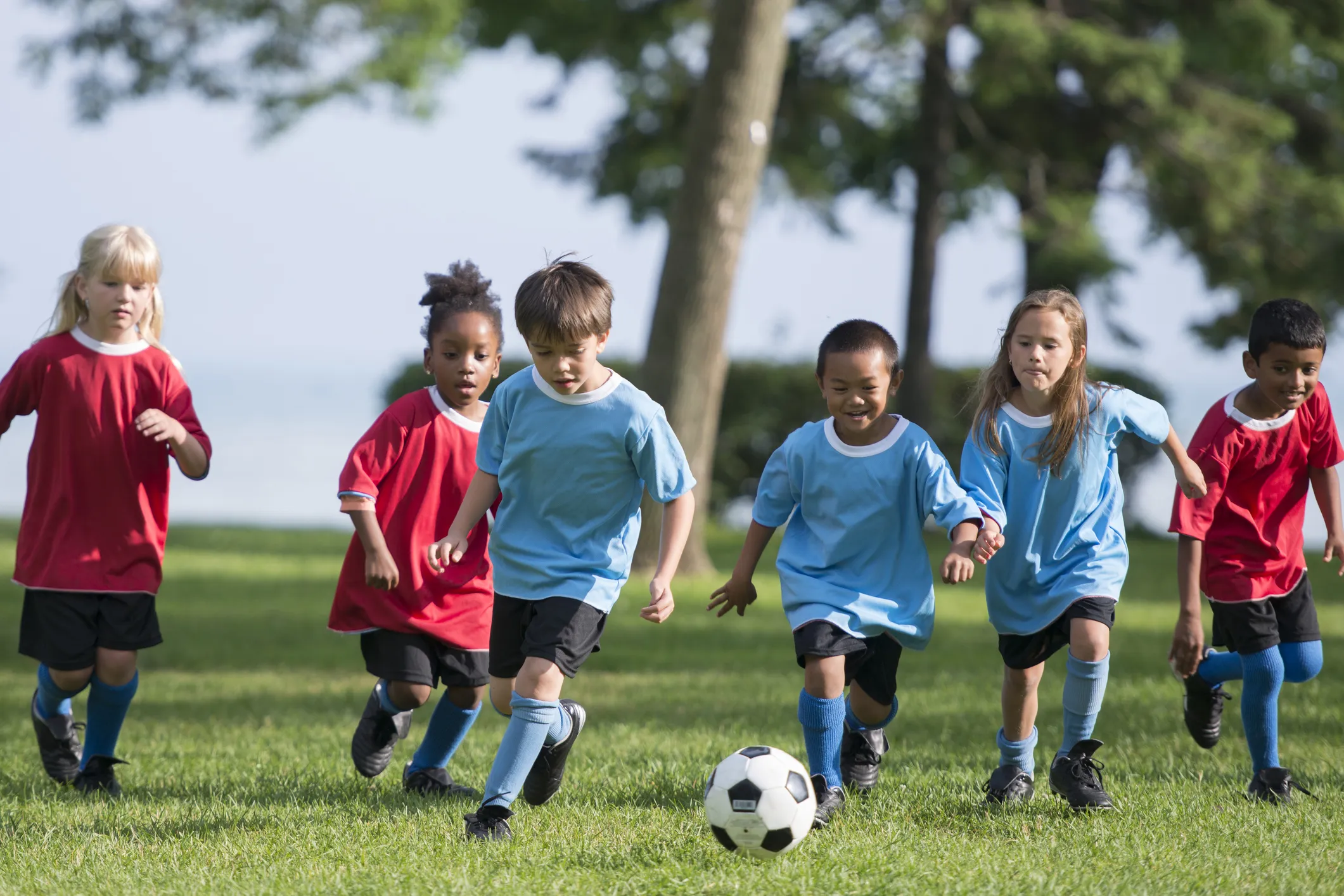 soccer coed